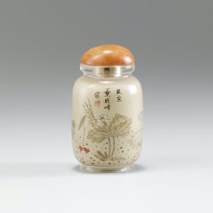 Glass jarlet with fish, waterweeds and dragonflies