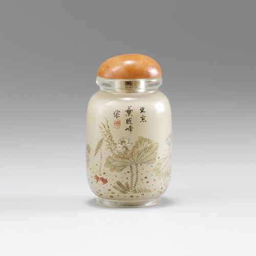 Glass jarlet with fish, waterweeds and dragonflies